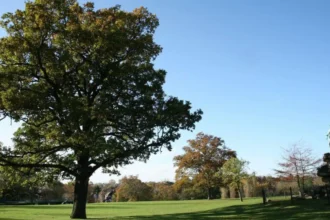 Best Places to Relax in Barnet Parks, Gardens & Green Spaces