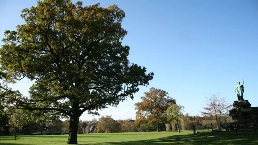 Best Places to Relax in Barnet Parks, Gardens & Green Spaces