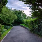 Best Quiet Places for an Afternoon in Barnet