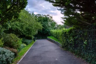 Best Quiet Places for an Afternoon in Barnet