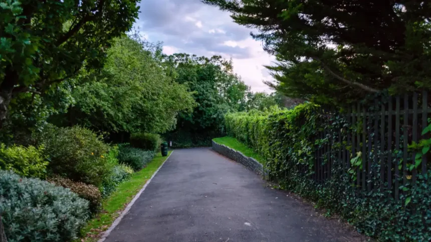 Best Quiet Places for an Afternoon in Barnet