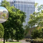Enfield Council Approves 2040 Economic Growth Strategy, Enfield 2026
