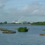 How Barnet Supports Local Wildlife and Biodiversity