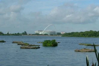 How Barnet Supports Local Wildlife and Biodiversity