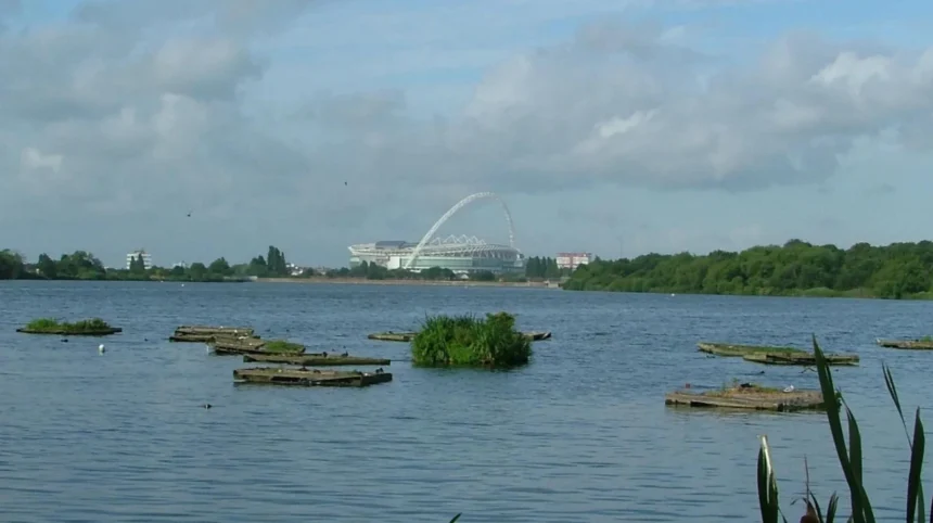 How Barnet Supports Local Wildlife and Biodiversity