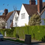 How the 20th Century Transformed Barnets Suburbs