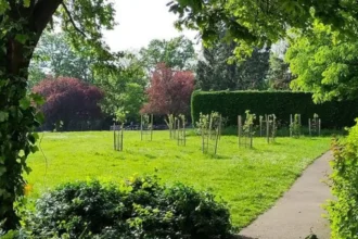 Quiet Sunday in Barnet Parks, Walks and RAF Museum