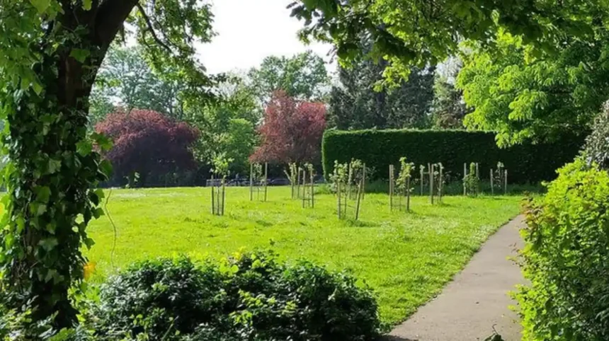 Quiet Sunday in Barnet Parks, Walks and RAF Museum