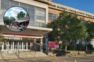 Tottenham Residents Fight Commercial Renting of Public Park Space: Tottenham 2026