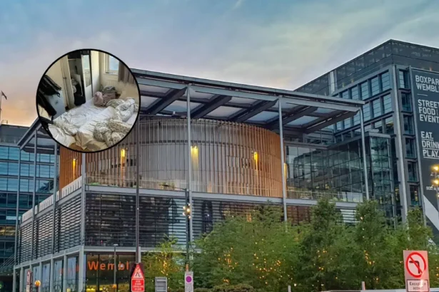 Wembley Property Managers Fined £100k Over Overcrowded House, Wembley 2026