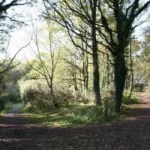 Where Can Children Learn About Nature in Barnet_