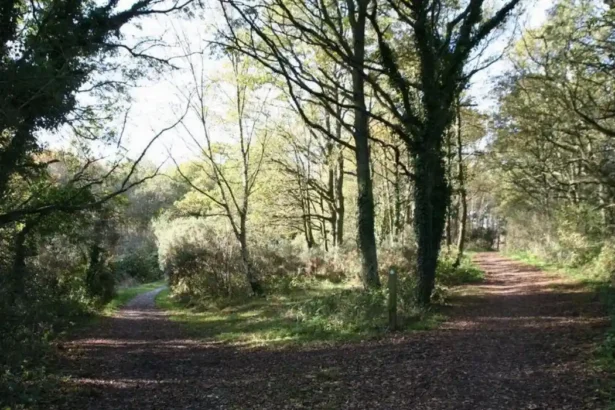 Where Can Children Learn About Nature in Barnet_