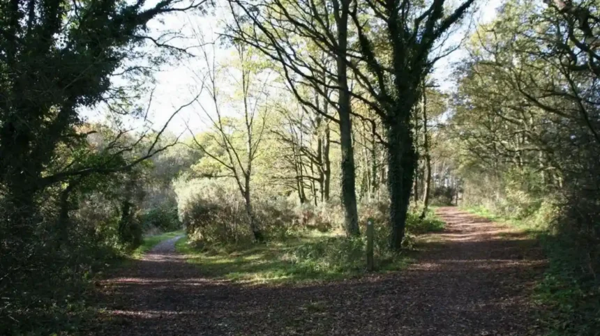 Where Can Children Learn About Nature in Barnet_