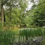 Where to Escape the Crowds in Barnet Quiet Places