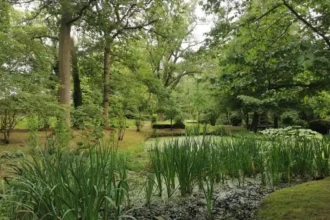 Where to Escape the Crowds in Barnet Quiet Places