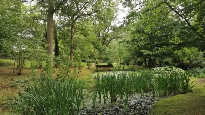 Where to Escape the Crowds in Barnet Quiet Places