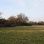 Where to Photograph Wildlife in Barnet_ 8 Best Locations