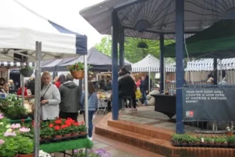 Why Did Barnet Become an Important Market Town