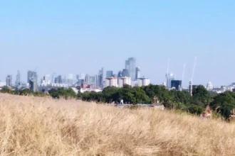 Why Is Primrose Hill Closing For Bonfire Night? Camden 2026