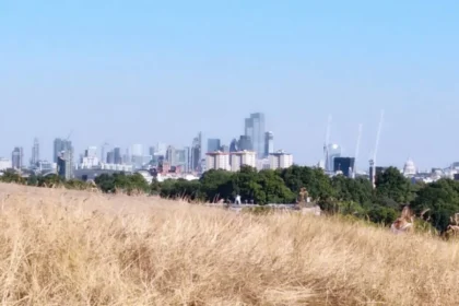 Why Is Primrose Hill Closing For Bonfire Night? Camden 2026