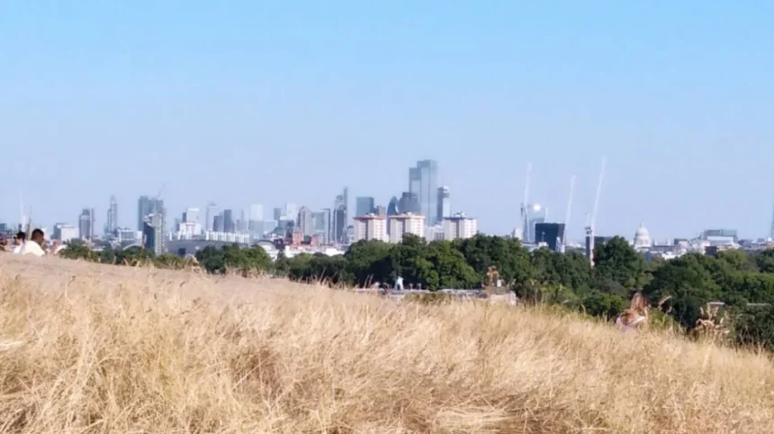 Why Is Primrose Hill Closing For Bonfire Night? Camden 2026